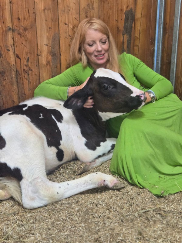 Minerva è viva e presto sarà recuperata salvaguardando la sua salute e sicurezza