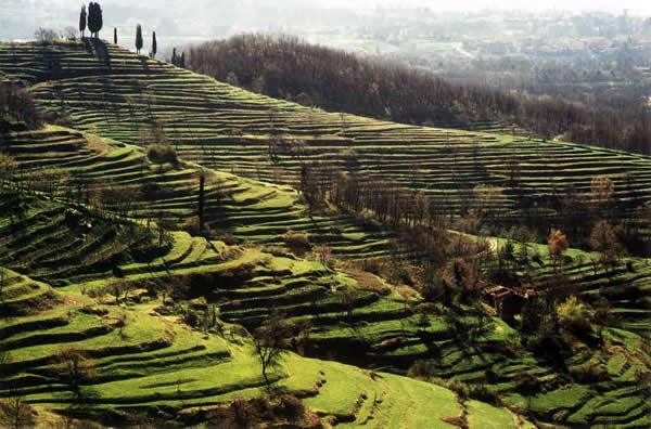 Casatenovo nel Parco del Curone? Decidano i Soci  
