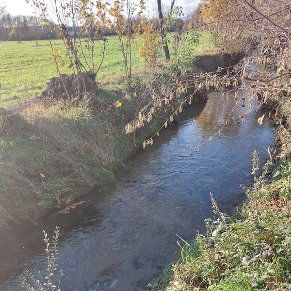 Sul dragaggio del torrente Gandaloglio