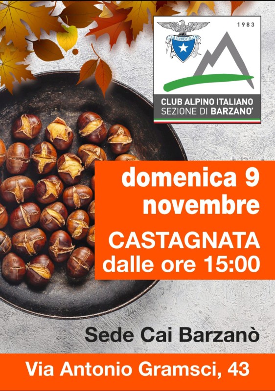 WhatsApp_Image_2025-11-06_at_18.18.15.jpeg (146 KB)