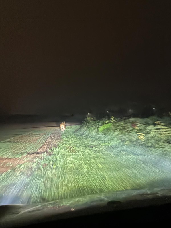 WhatsApp_Image_2025-11-15_at_19.03.15.jpeg (78 KB)