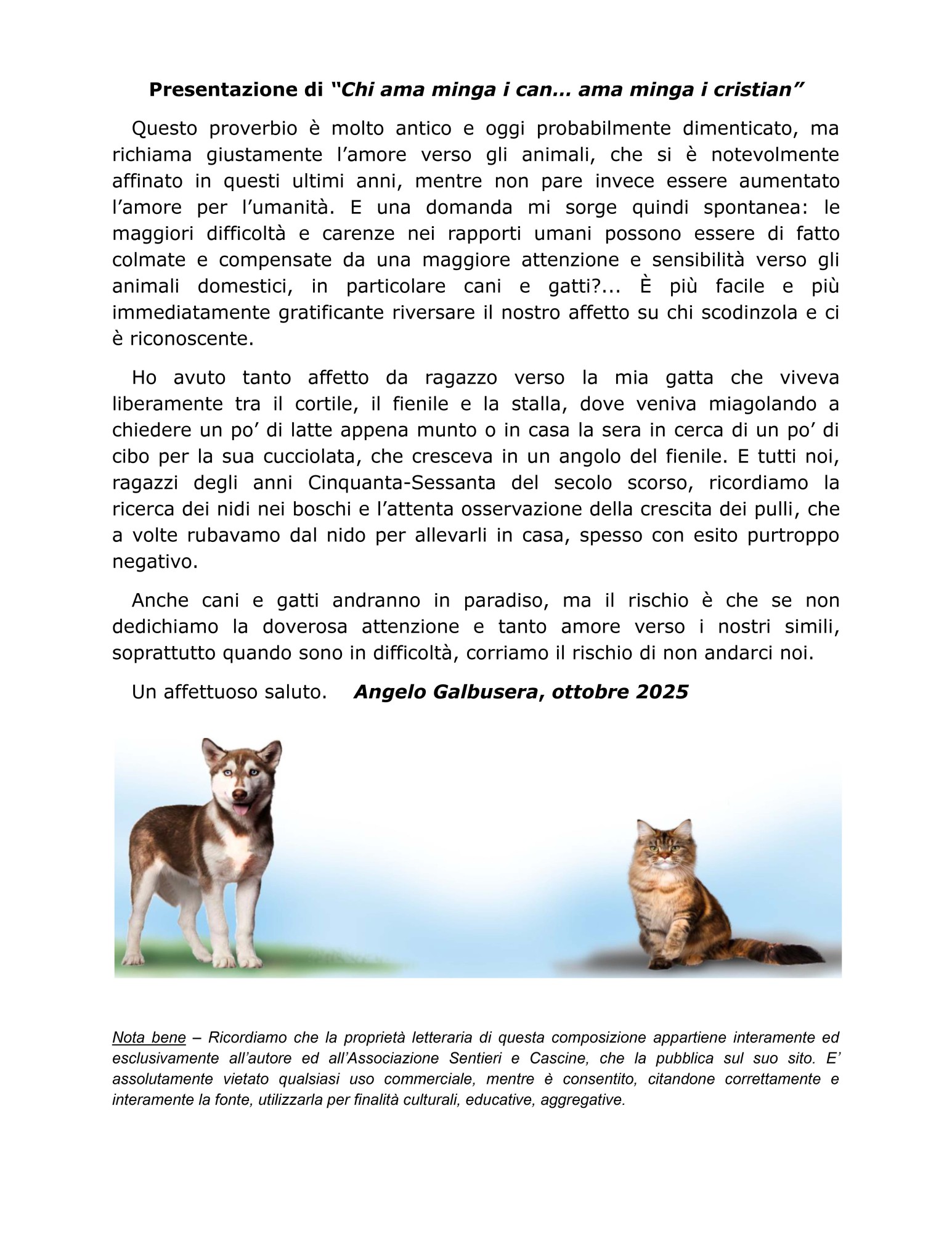 angelocani__3_.jpg (393 KB)