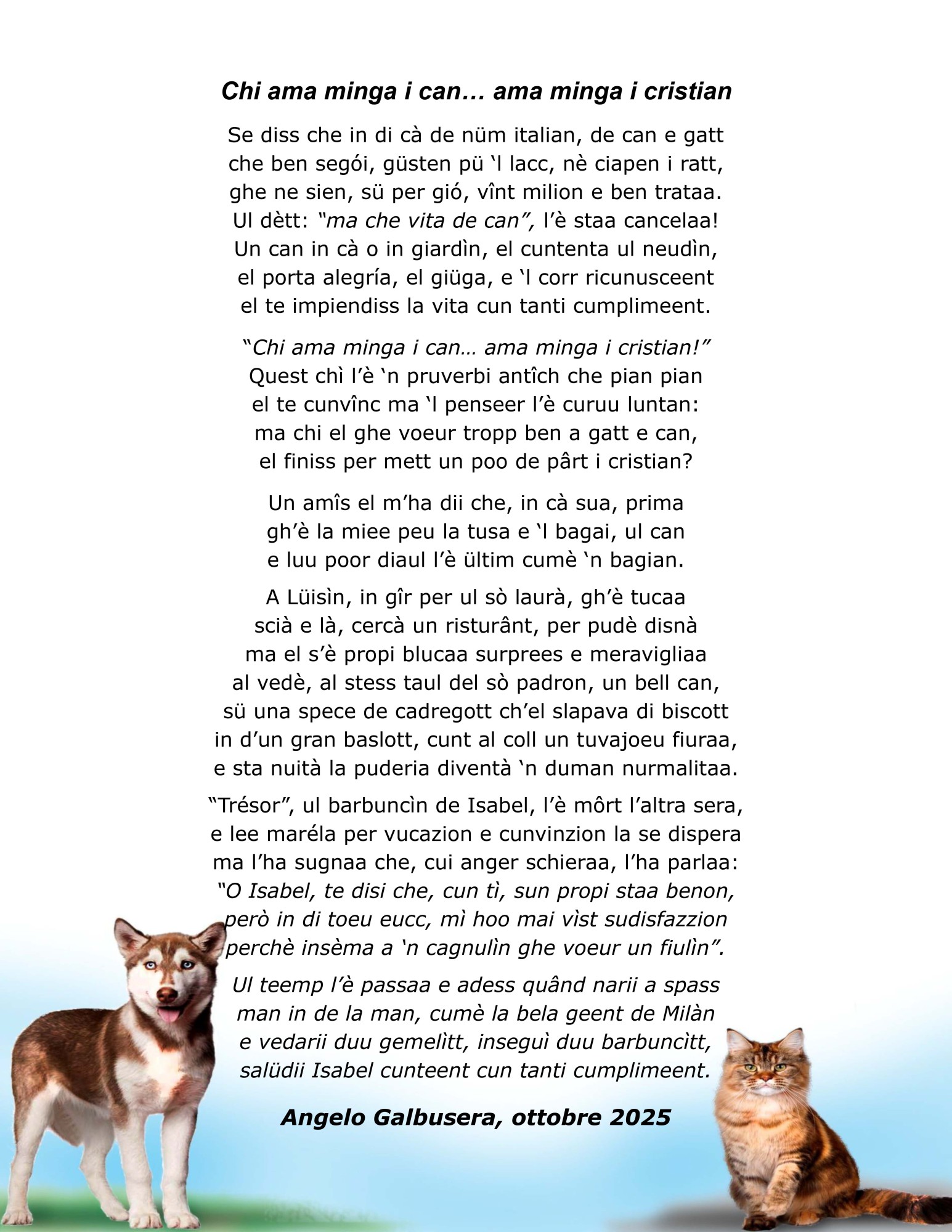 angelocani__4_.jpg (430 KB)