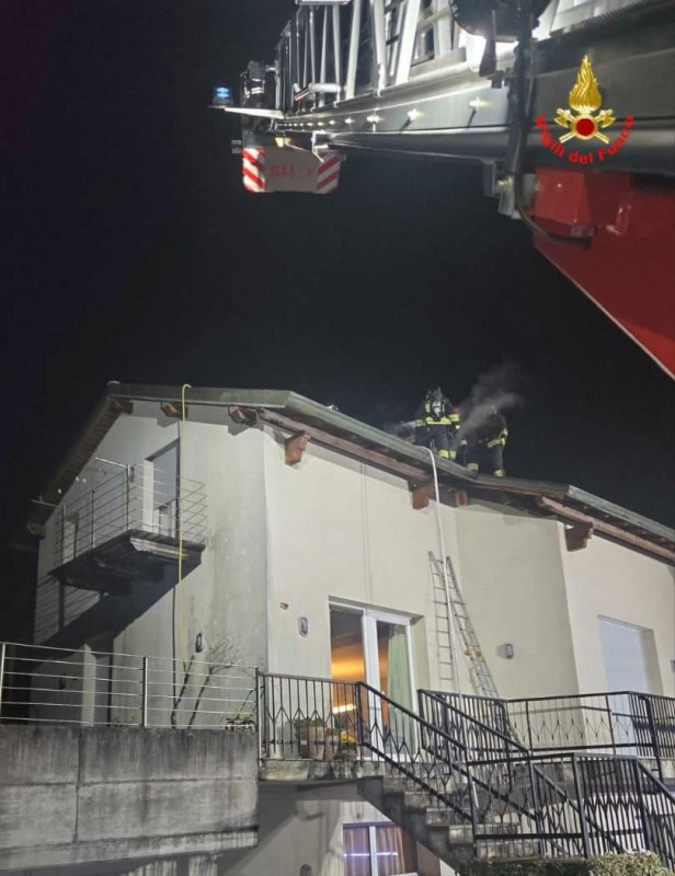 barzanovf__1_.jpeg (132 KB)