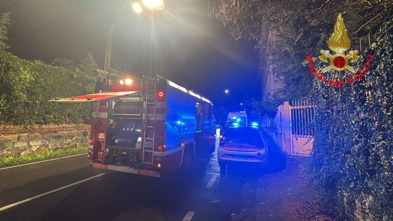 besanavf__2_.jpeg (112 KB)