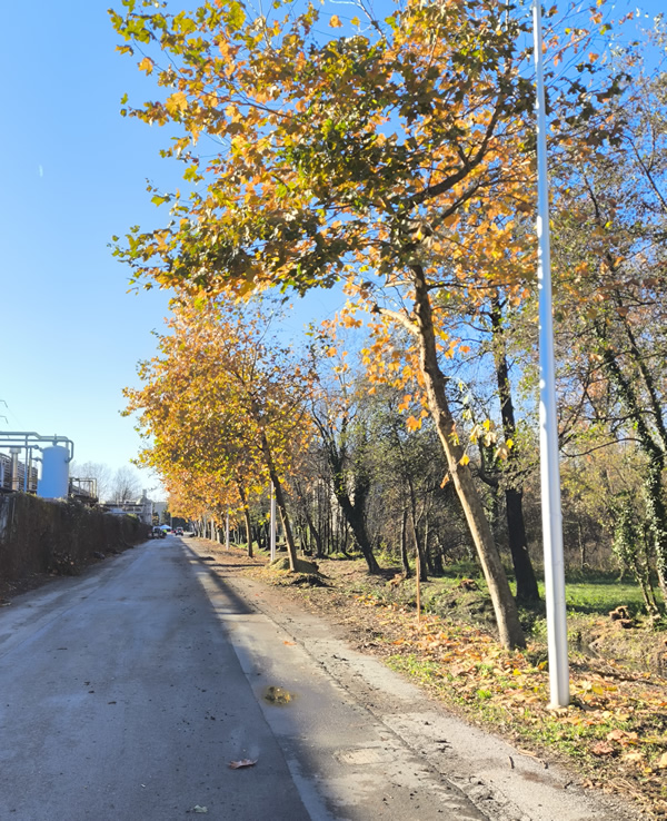 bosisiofiumisicuri__7_.jpg (320 KB)