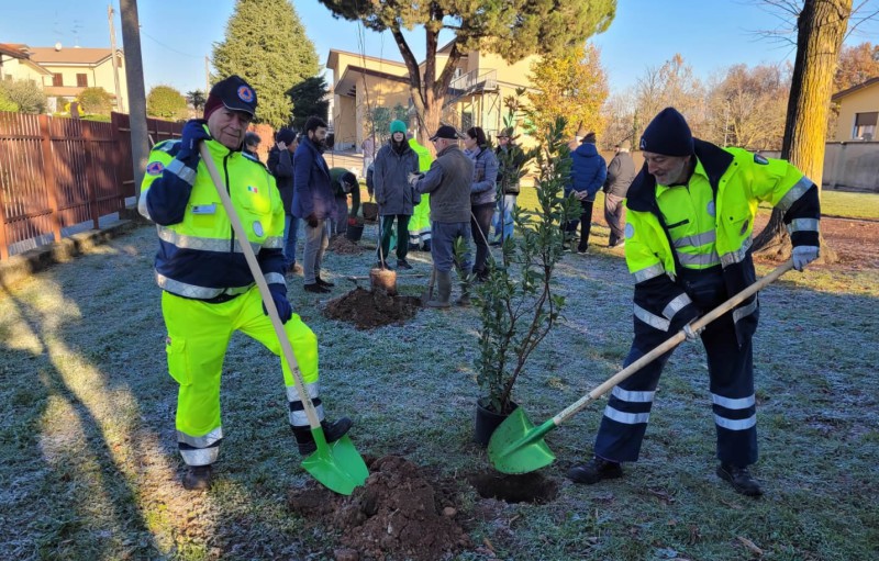 casategiornataalbero2.jpg (154 KB)