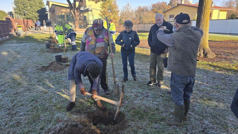 casategiornataalbero3.jpg (145 KB)