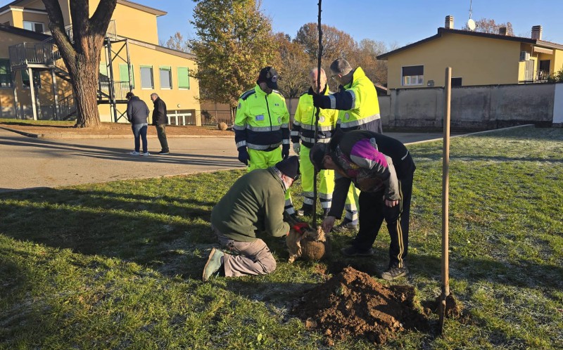 casategiornataalbero4.jpg (157 KB)