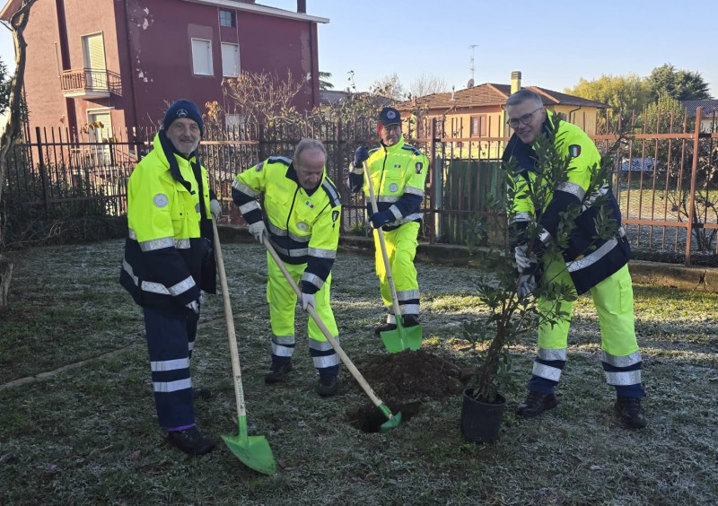 casategiornataalbero6.jpg (157 KB)