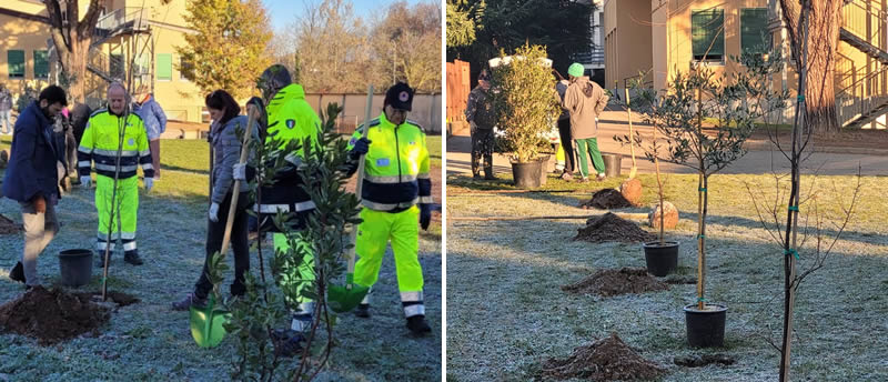 casategiornataalbero7.jpg (89 KB)