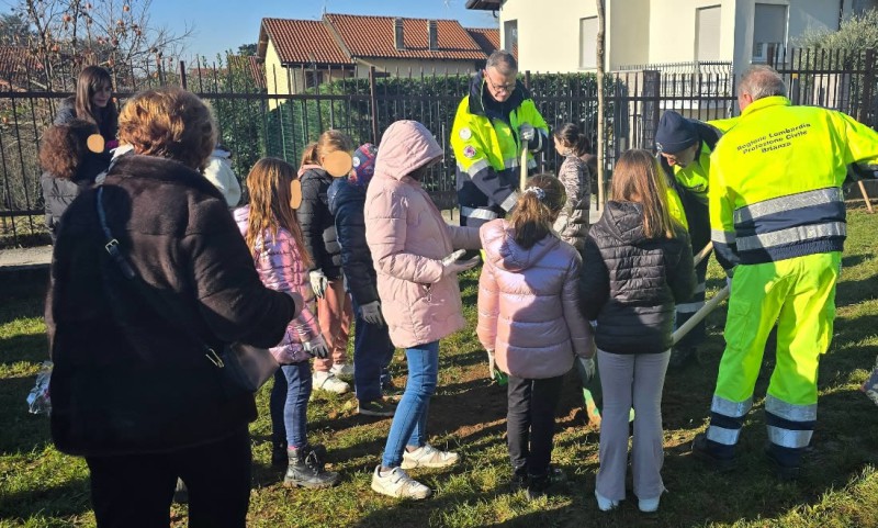 casategiornataalbero8.jpg (134 KB)