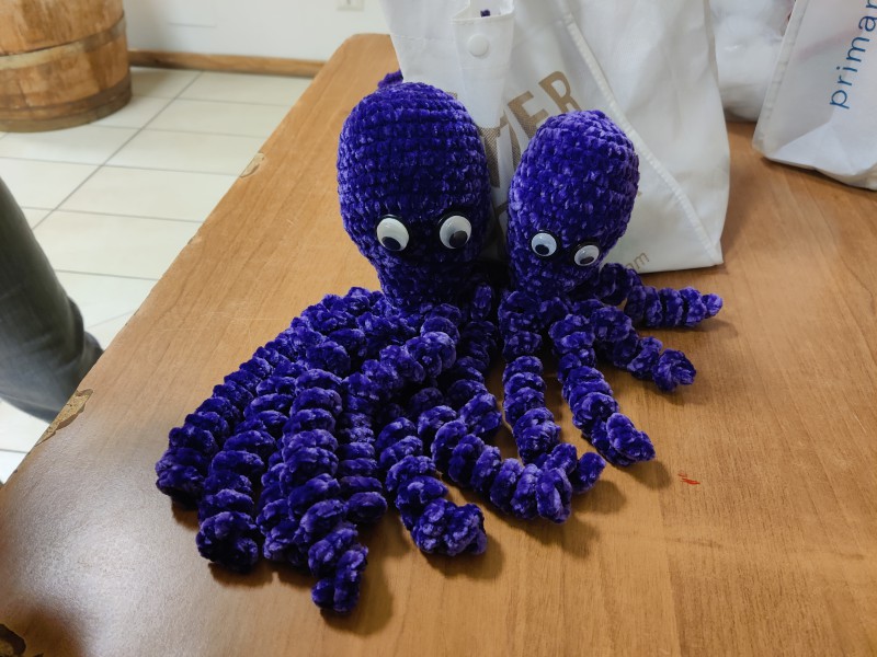 colombinasferruzzare__2_.jpg (113 KB)