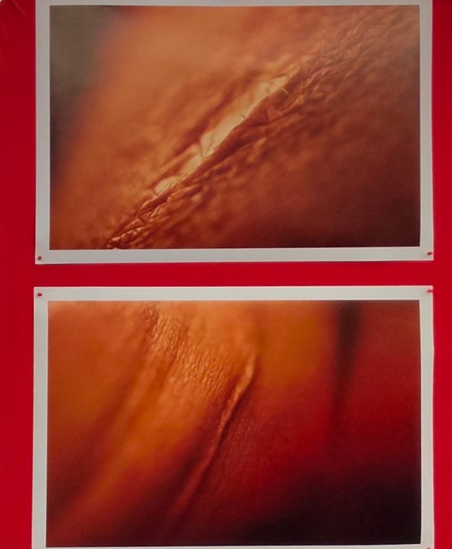 cremella_violenza_di_genere4.jpg (71 KB)