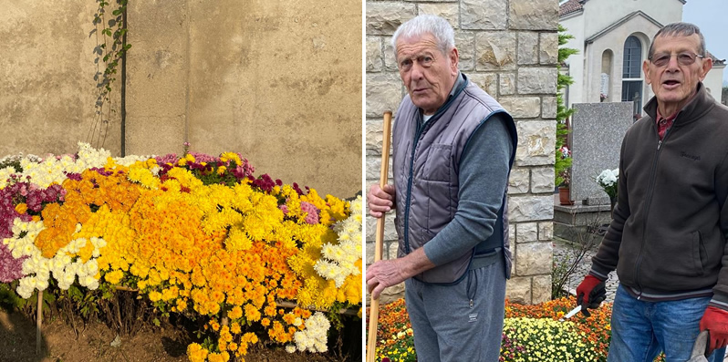 crisantemiprima.jpg (218 KB)