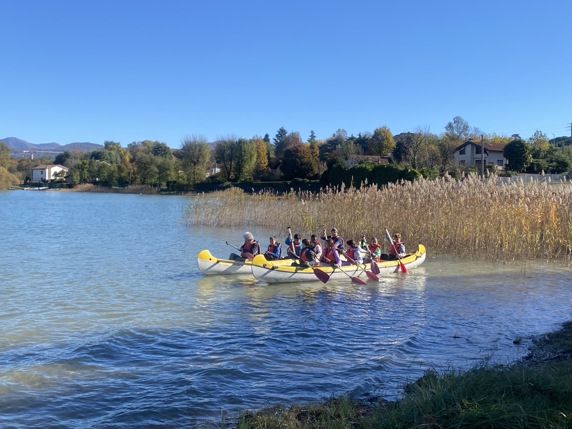 lagopusiano_alunni__4_.jpeg (641 KB)