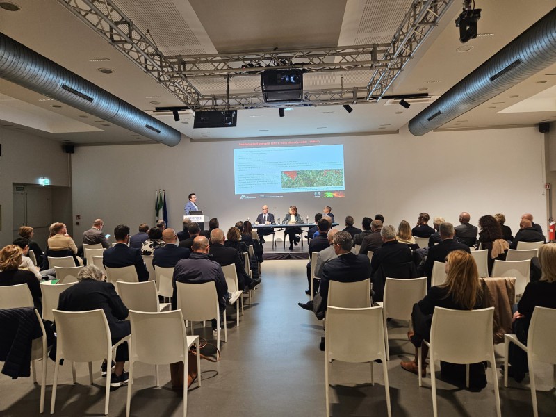 lariofieretreni__2_.JPG (119 KB)