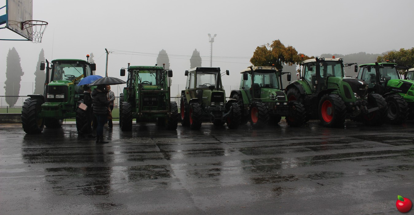 maressoringraziamento0018.jpg (440 KB)