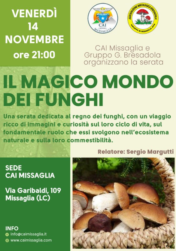 missagliafunghi.jpg (108 KB)