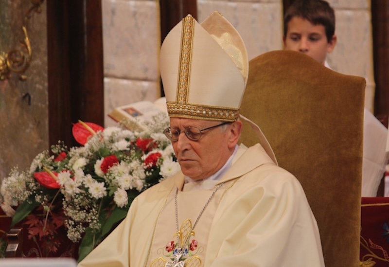 mons_ambrogio_spreafico.JPG (118 KB)