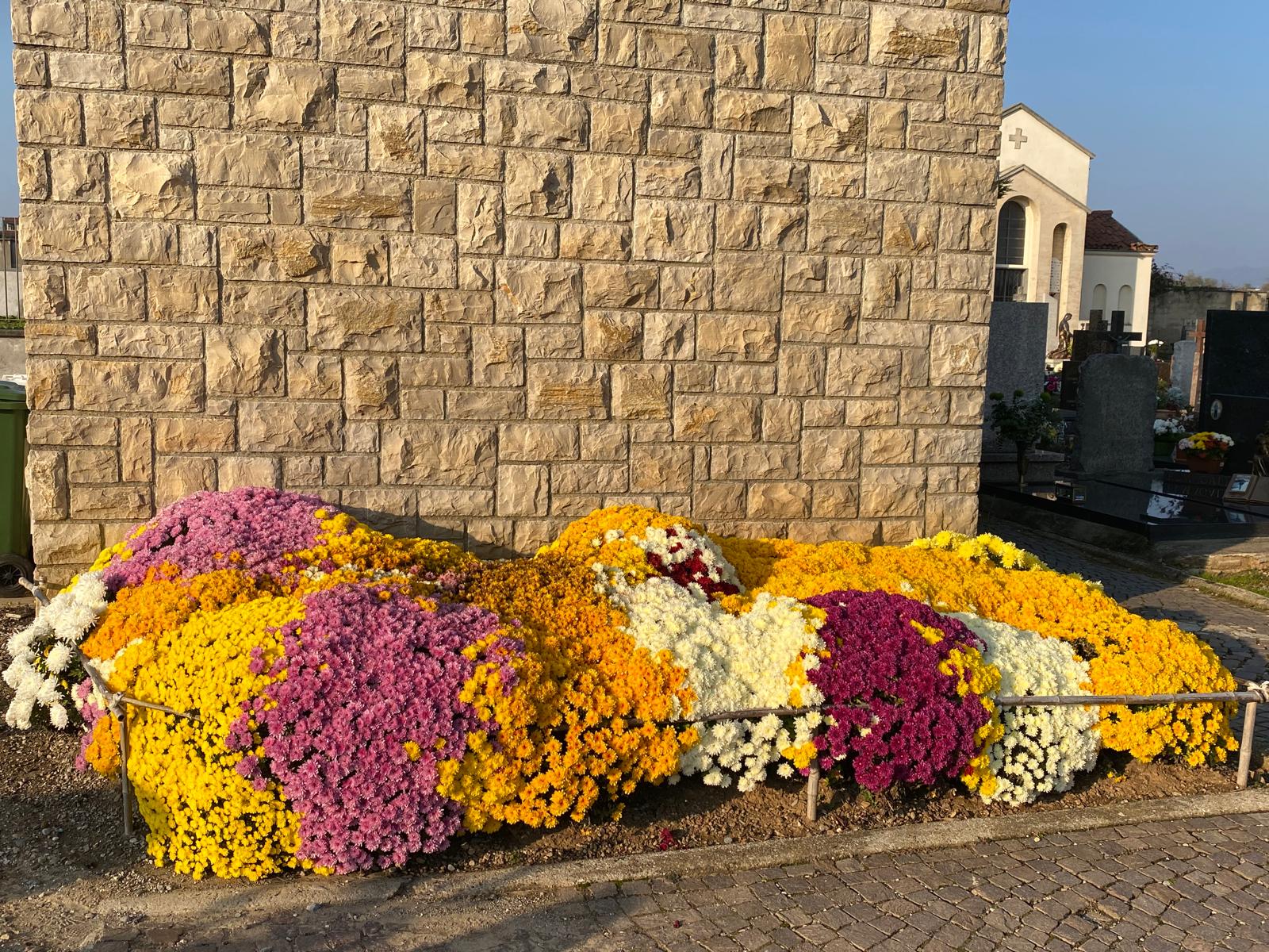 rogoredo_crisantemi__2_.jpeg (533 KB)