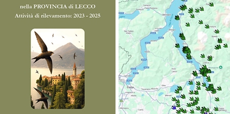 rondonilibrroprr.jpg (72 KB)