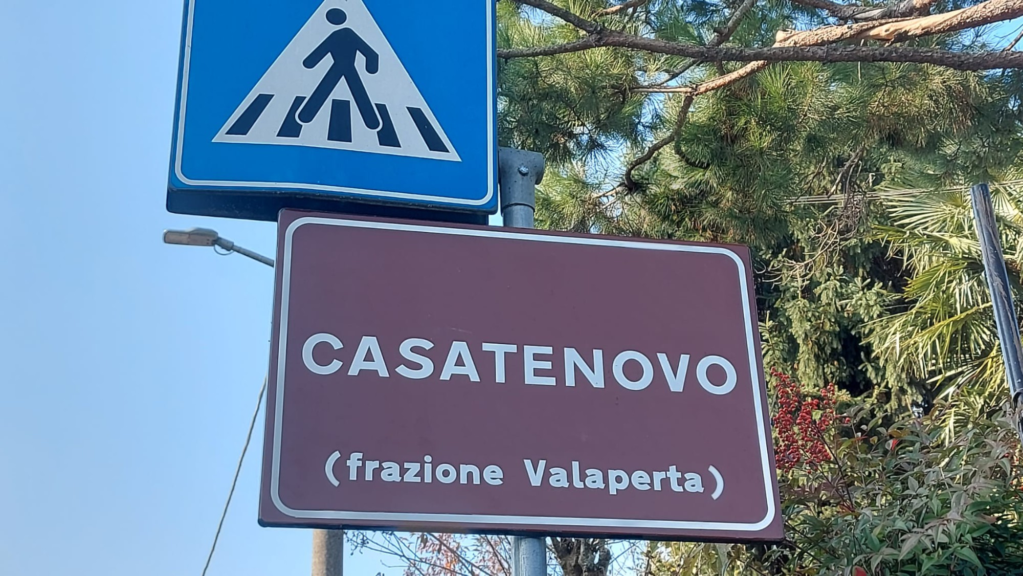 valapertacartelli__3_.jpeg (474 KB)