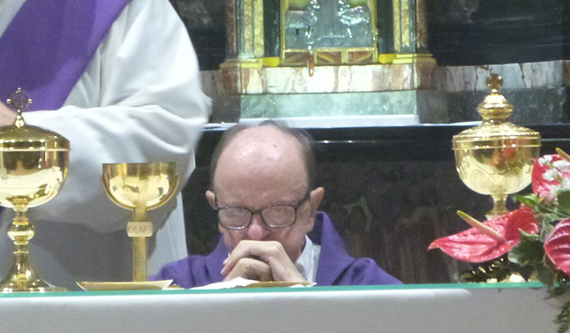 viganodon17.jpg (100 KB)