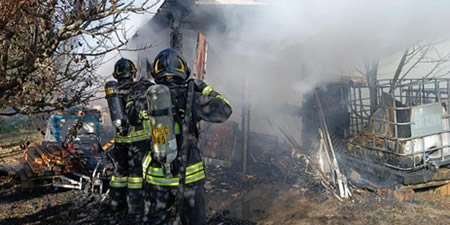 bosisiorogoprima.jpg (27 KB)