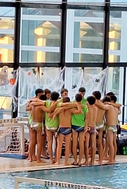 bosisioviribus__1_.jpeg (104 KB)