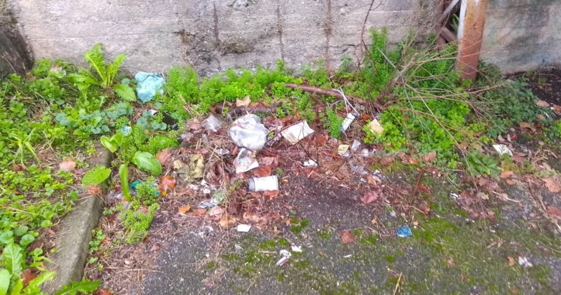 casatenovorifiuti4.jpg (139 KB)