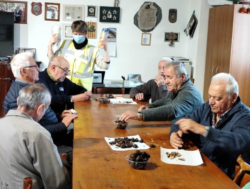 collecastagne1.jpg (110 KB)