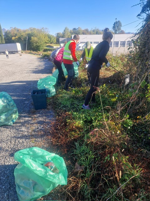 costaeco1.jpeg (139 KB)