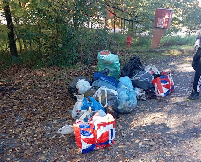 costaeco3.jpeg (174 KB)