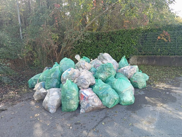 costaeco4.jpeg (150 KB)