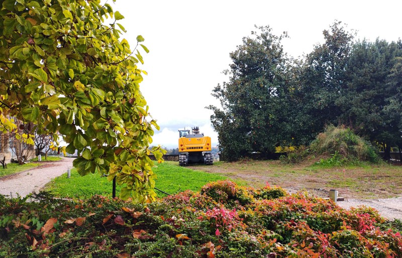 limonera3.jpg (177 KB)