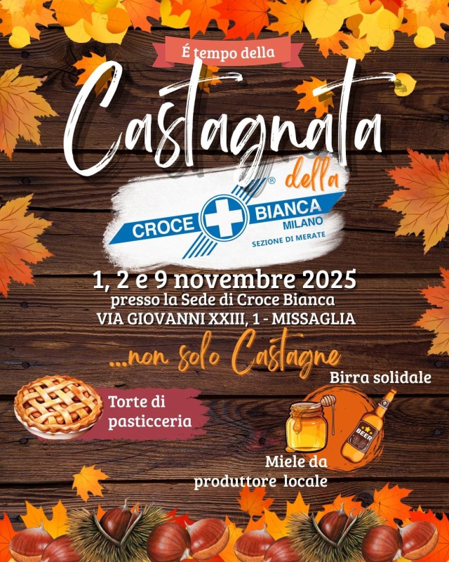 missagliacb_castagne.jpg (191 KB)