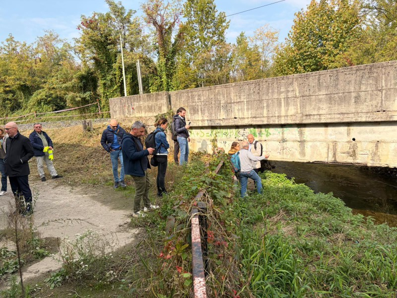 molteno-aipo__2_.jpeg (213 KB)