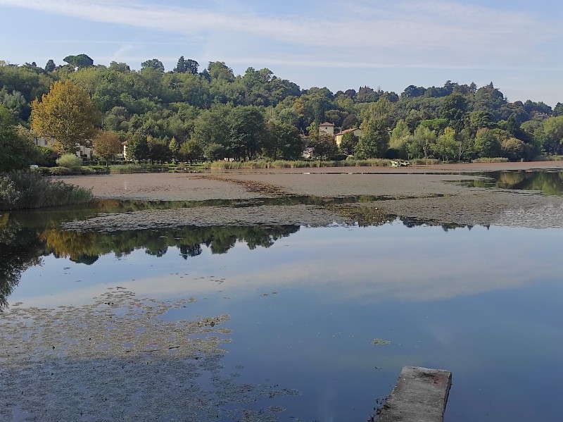 sfalcio_alghe_lago_di_annone__1_.jpg (127 KB)