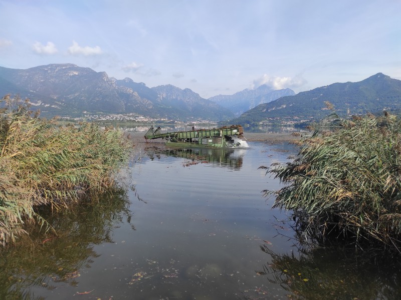 sfalcio_alghe_lago_di_annone__2_.jpg (123 KB)