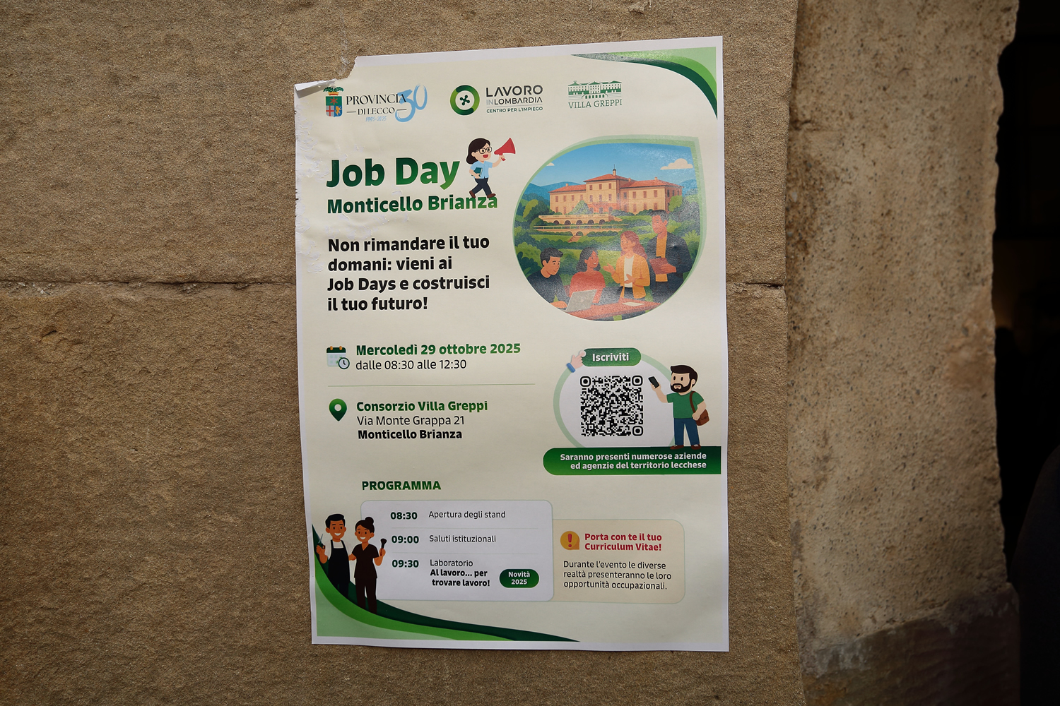 vg_jobs13.jpg (1.26 MB)