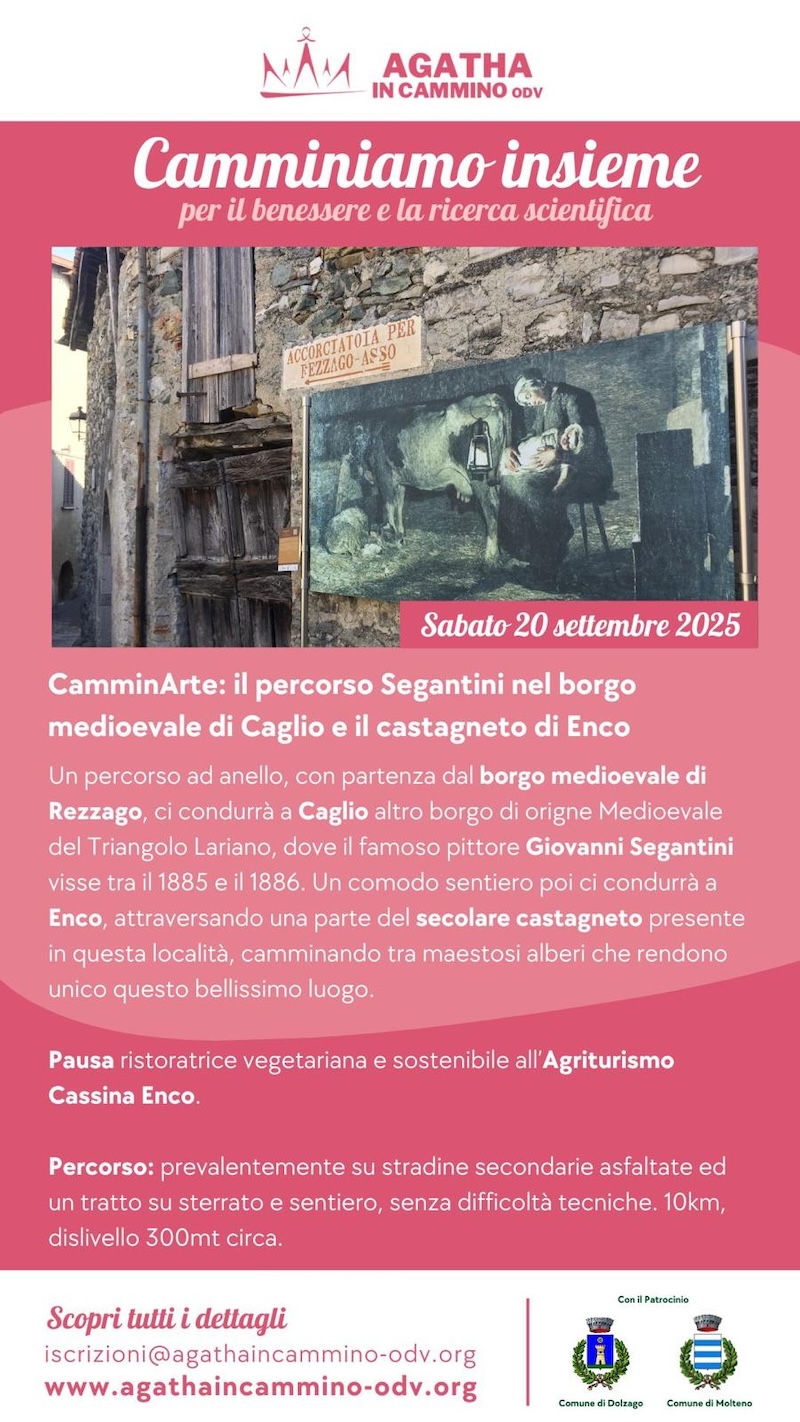 CamminArte.jpg (369 KB)