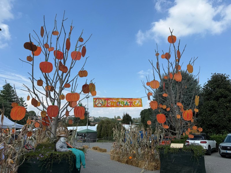 Casatenovo_festa_della_zucca_24.JPG (145 KB)