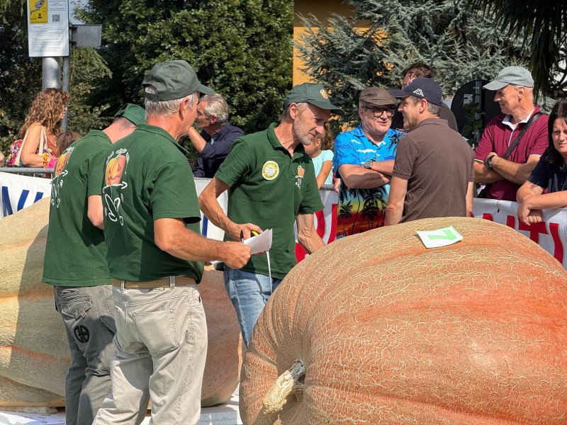 Casatenovo_festa_della_zucca_5.JPG (186 KB)