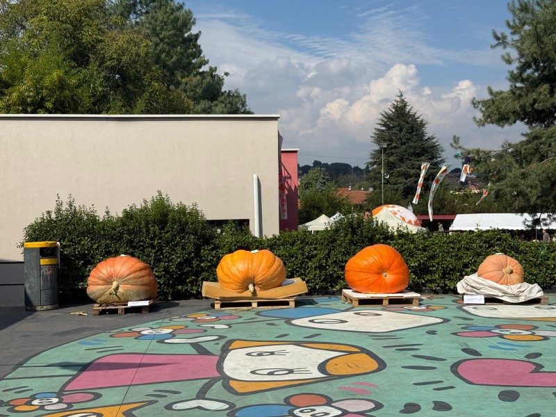 Casatenovo_festa_della_zucca_6.JPG (154 KB)