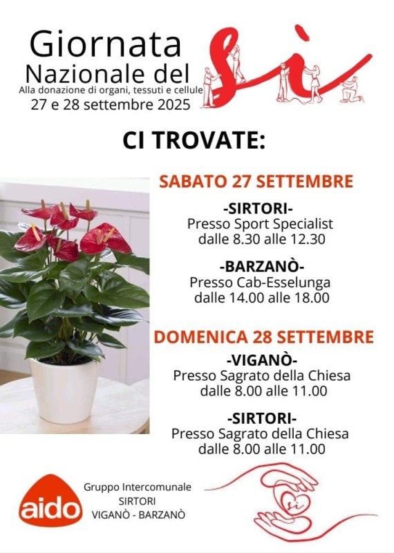 Immagine_WhatsApp_2025-09-26_ore_13.51.53_7d1d2e05.jpg (91 KB)