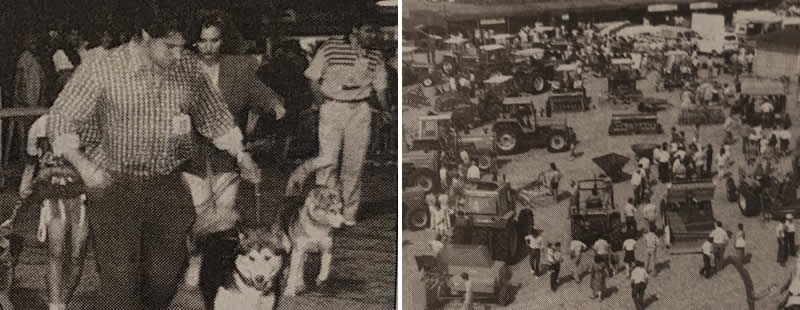accadeva95_5.jpg (44 KB)