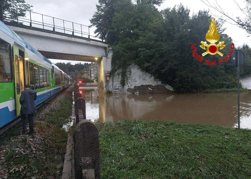 bulciagodanni__2_.jpeg (164 KB)