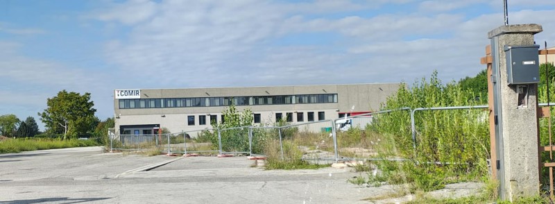 exmangimi1.jpg (66 KB)