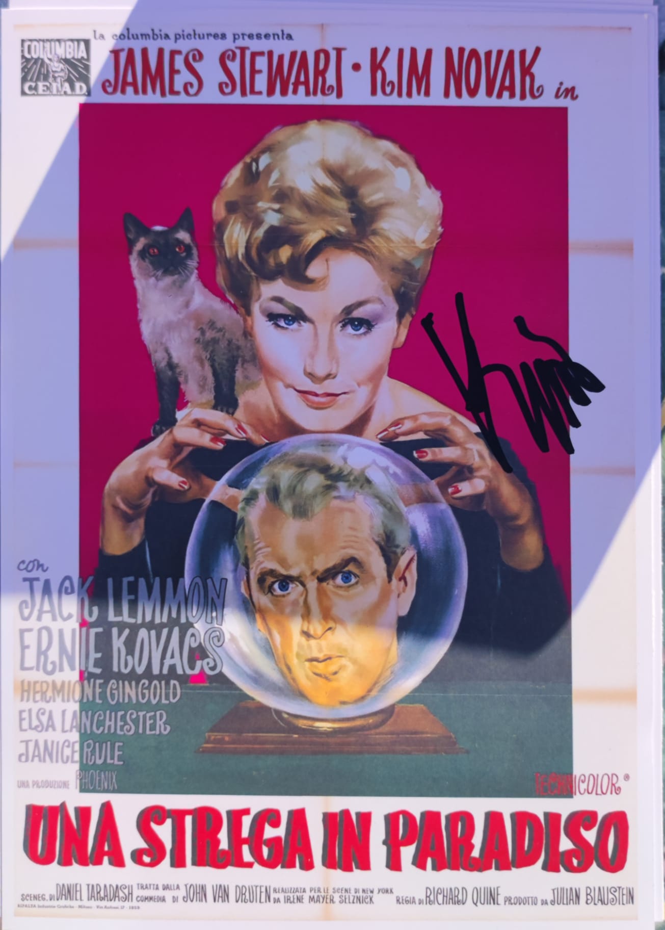 l_autografo_ambito_di_kim_novak.jpeg (189 KB)
